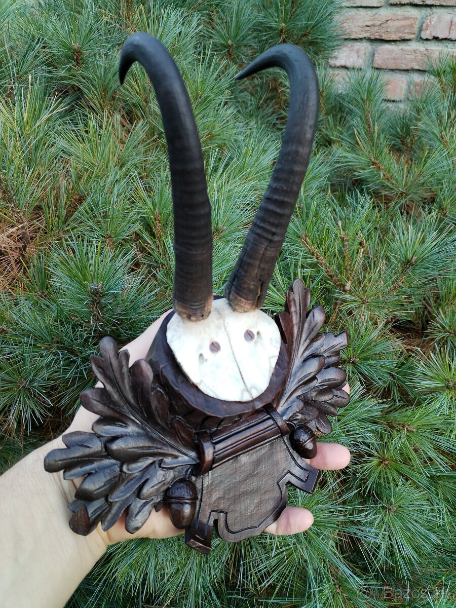 Trofej kamzika na podložke