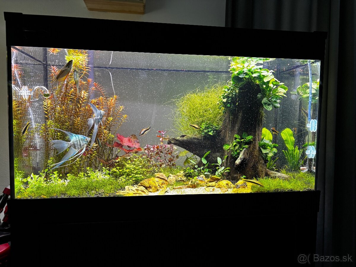 Akvarium 112l