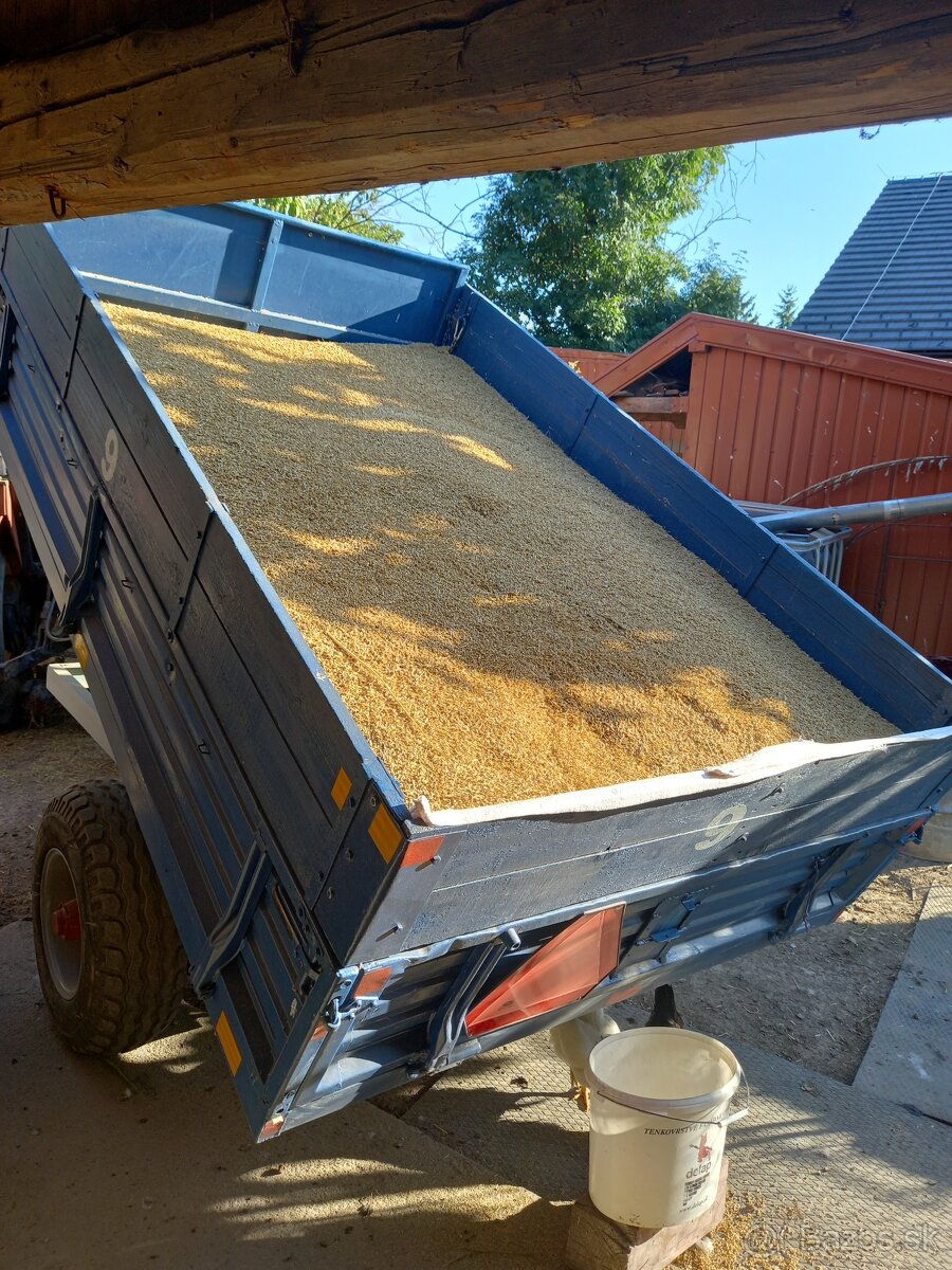 Jačmeň