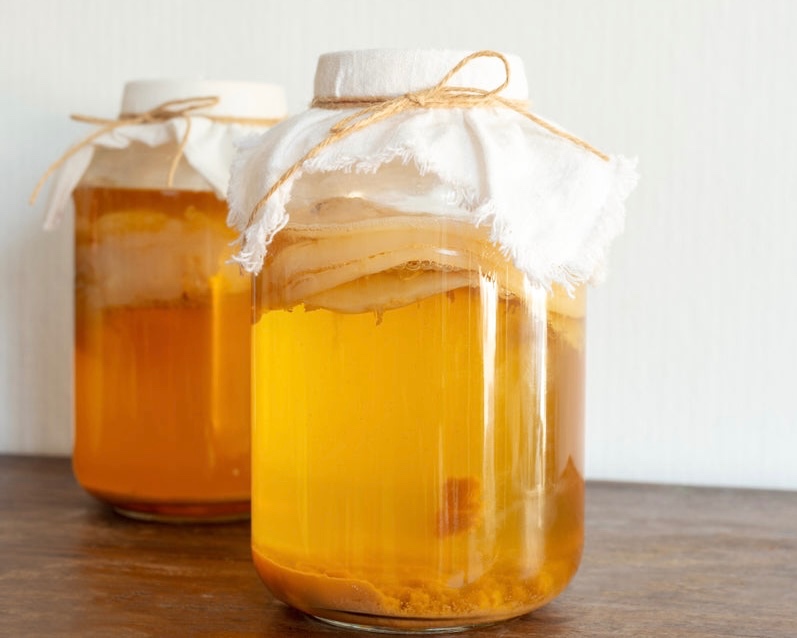 Predám Kombucha SCOBY