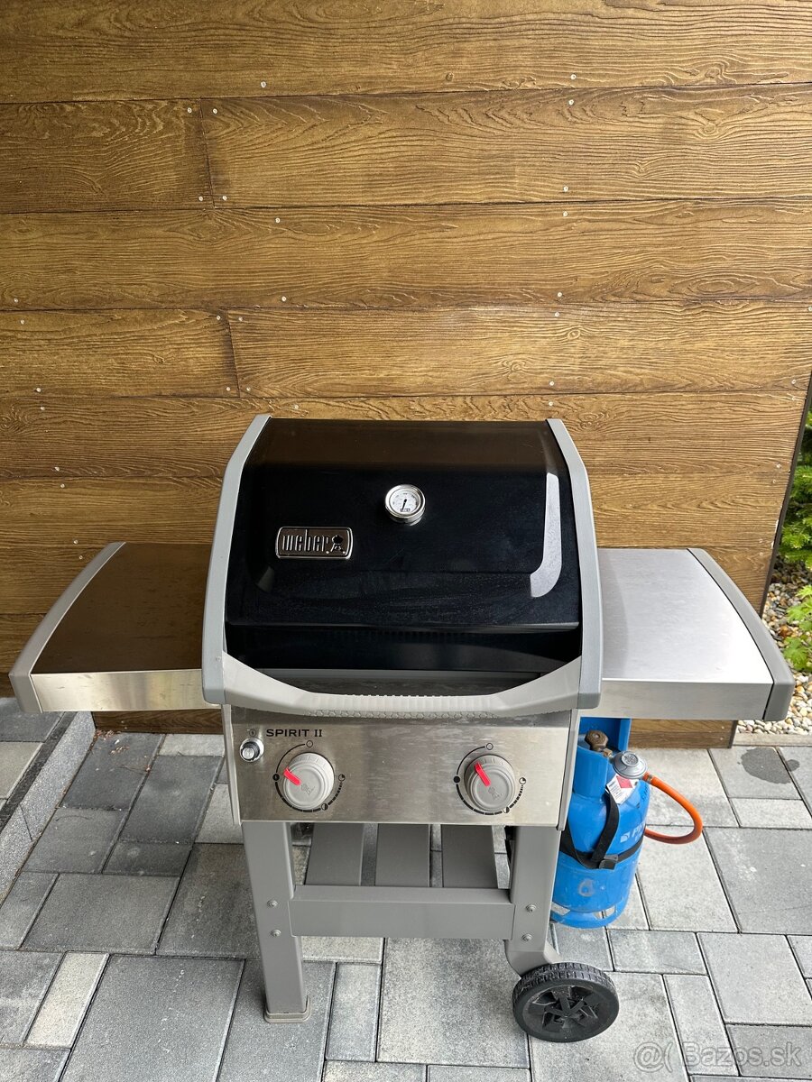 Webner Spirit II E-210