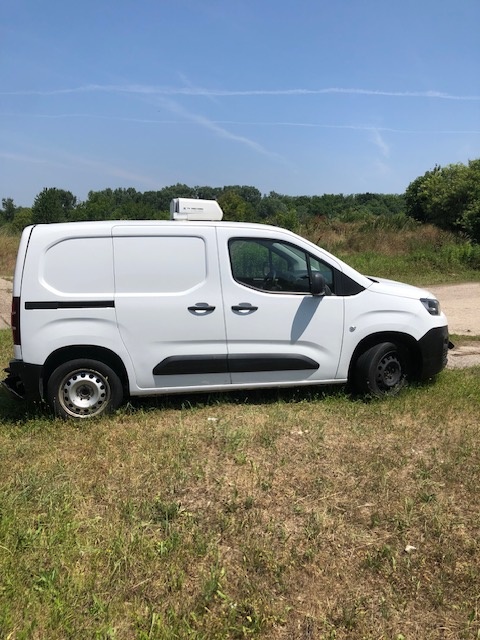 Berlingo