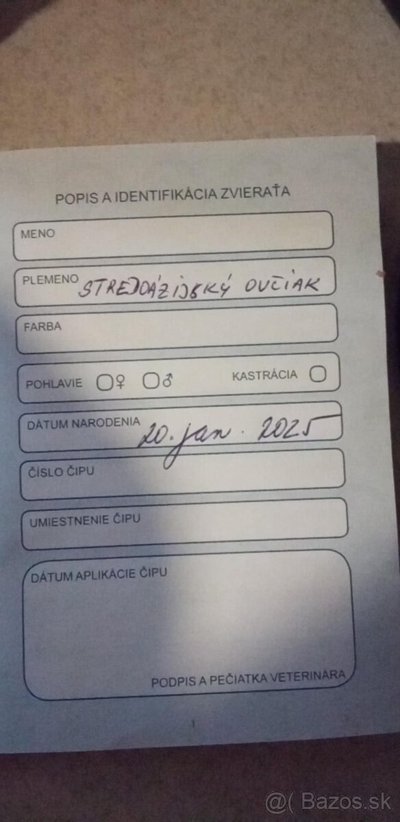 Stredoázijský Ovčiak