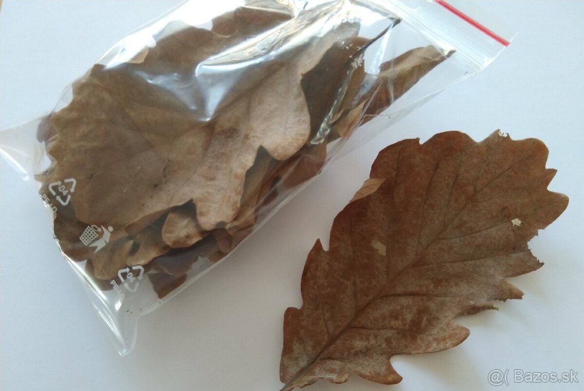Sušené dubové listy (kelímok, cca 20 listov)