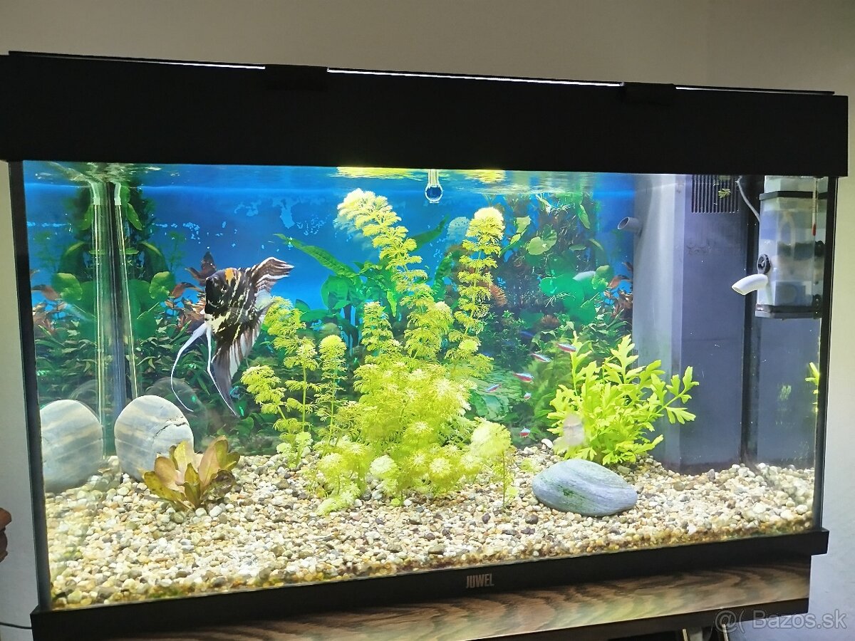 Akváriový set Juwel Rio Led 125 + CO2 set