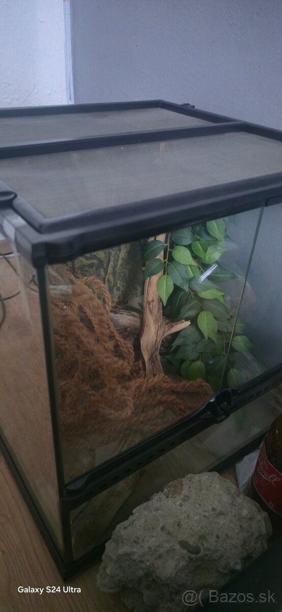 Terarium