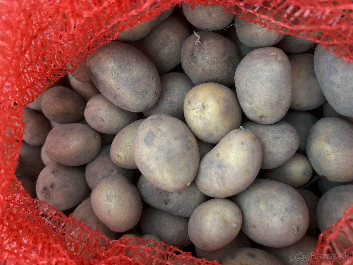 Predám ručne triedené krmné zemiaky