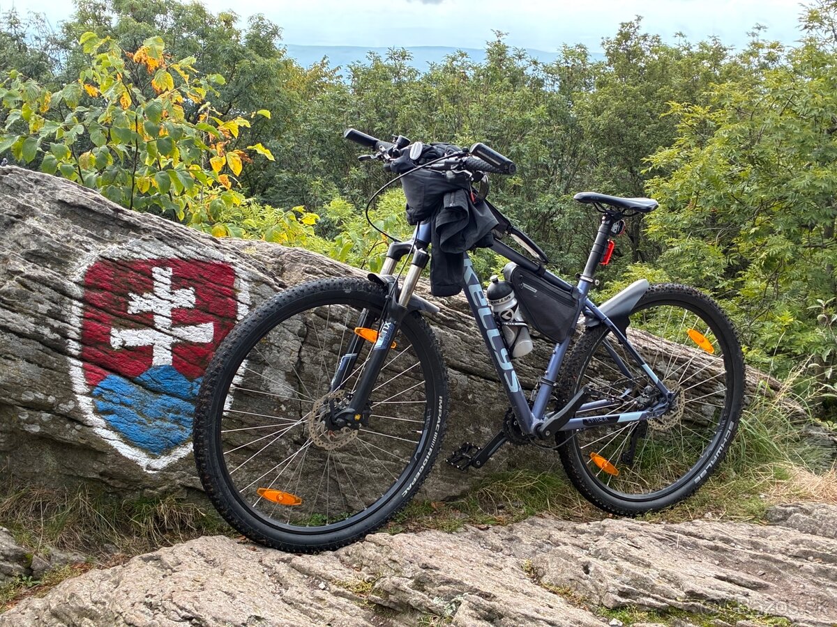 Kellys Spider 80 29''