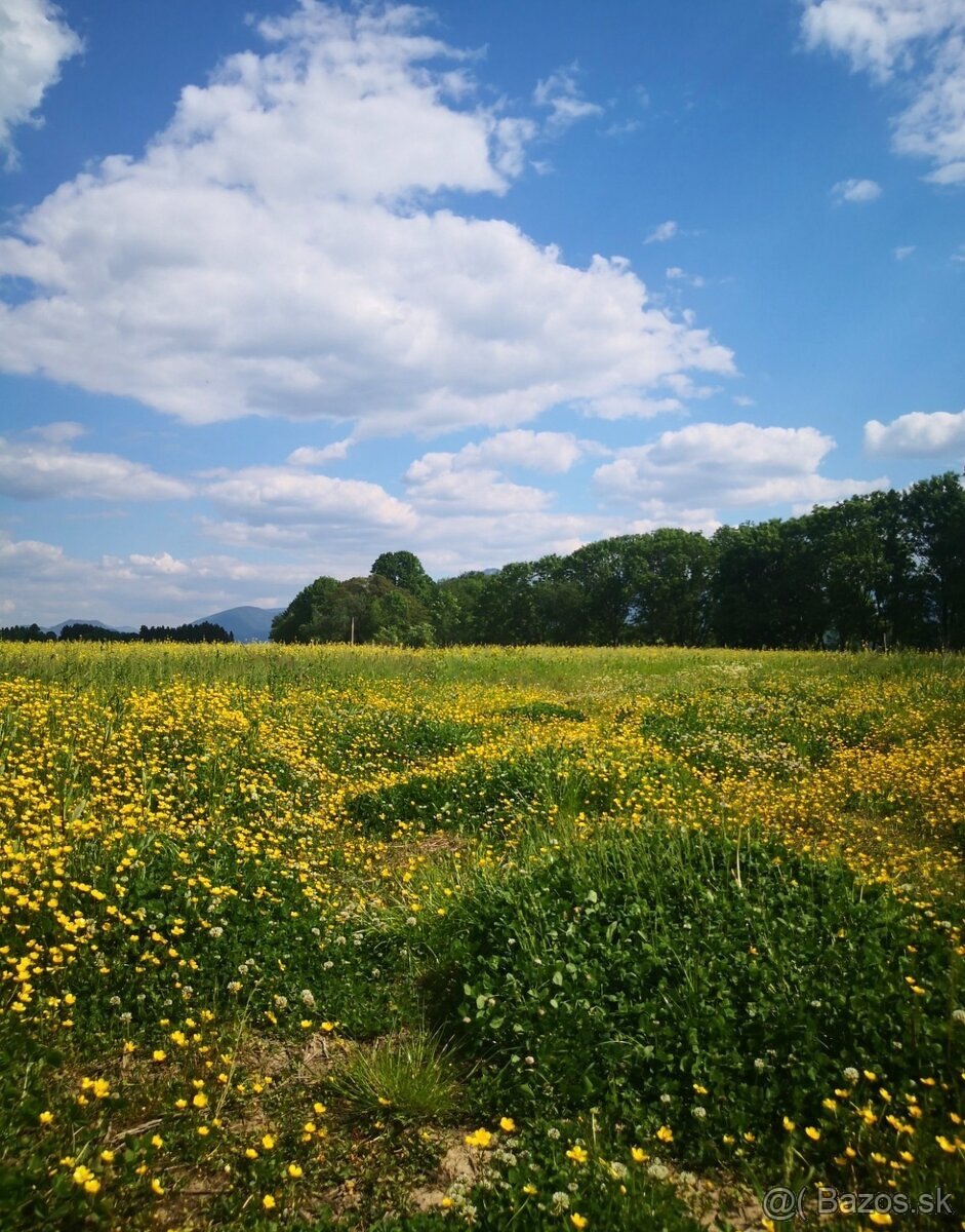 Na predaj exkluzívny pozemok pri Liptovskej Mare – len 150 m