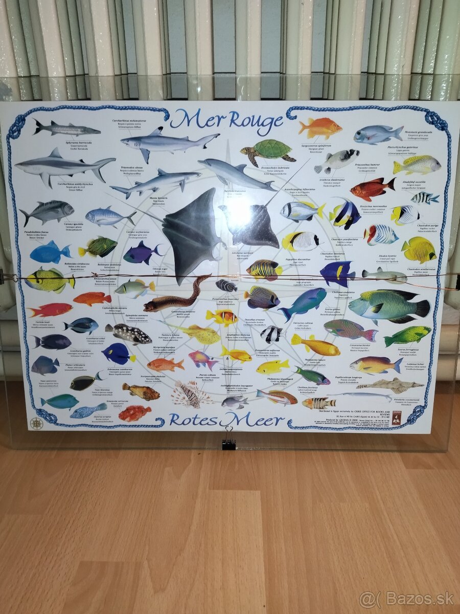 Mapa, obrazy, rámy