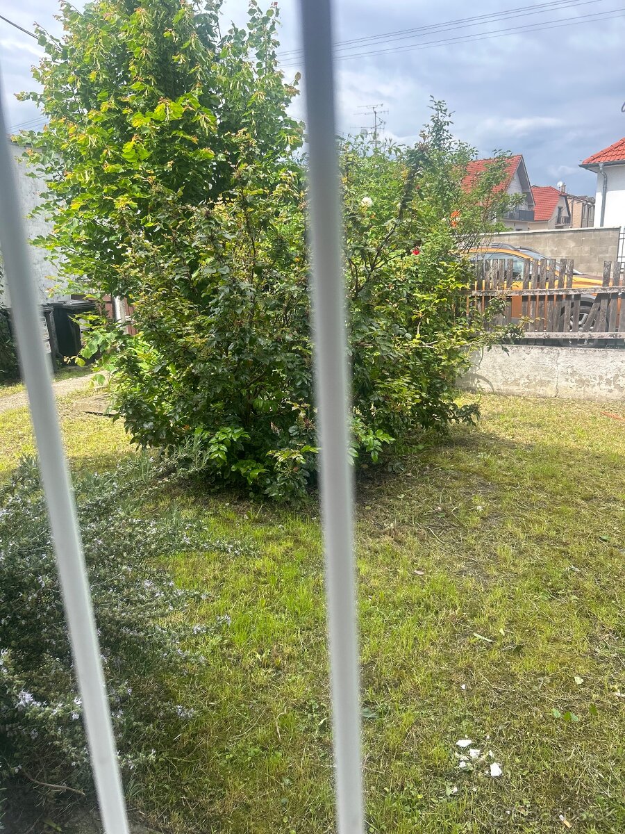 Byt so záhradou