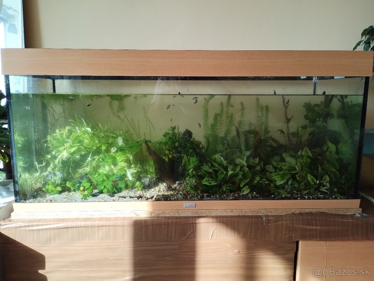 Predam akvarium