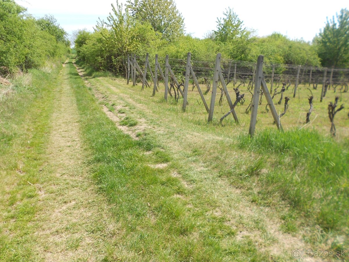 vinica-rekreačný pozemok - s výhľadom ,široký 14-15m