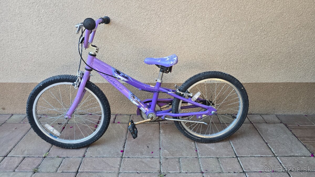 SPECIALIZED 20