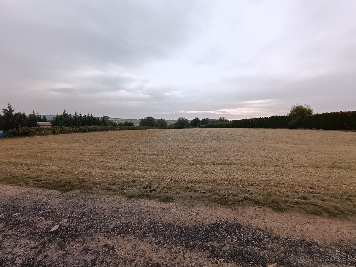 Predaj pozemok , Strážny vrch , Levice , 3529 m2