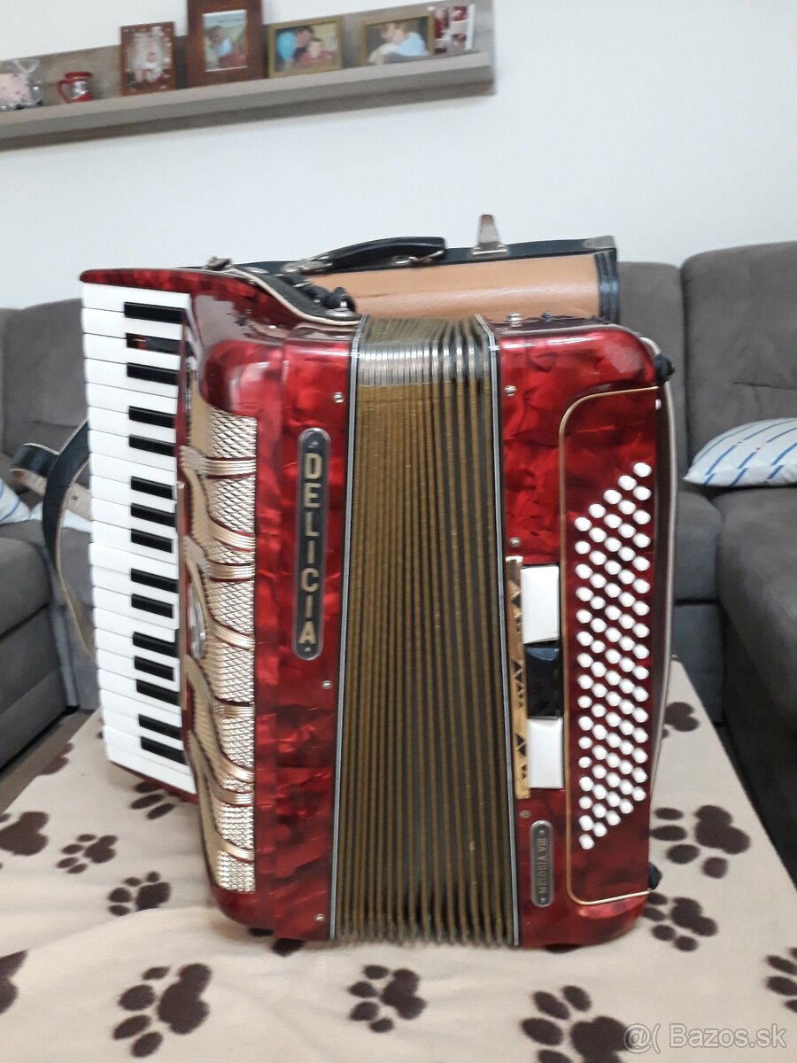Harmonika Delicia