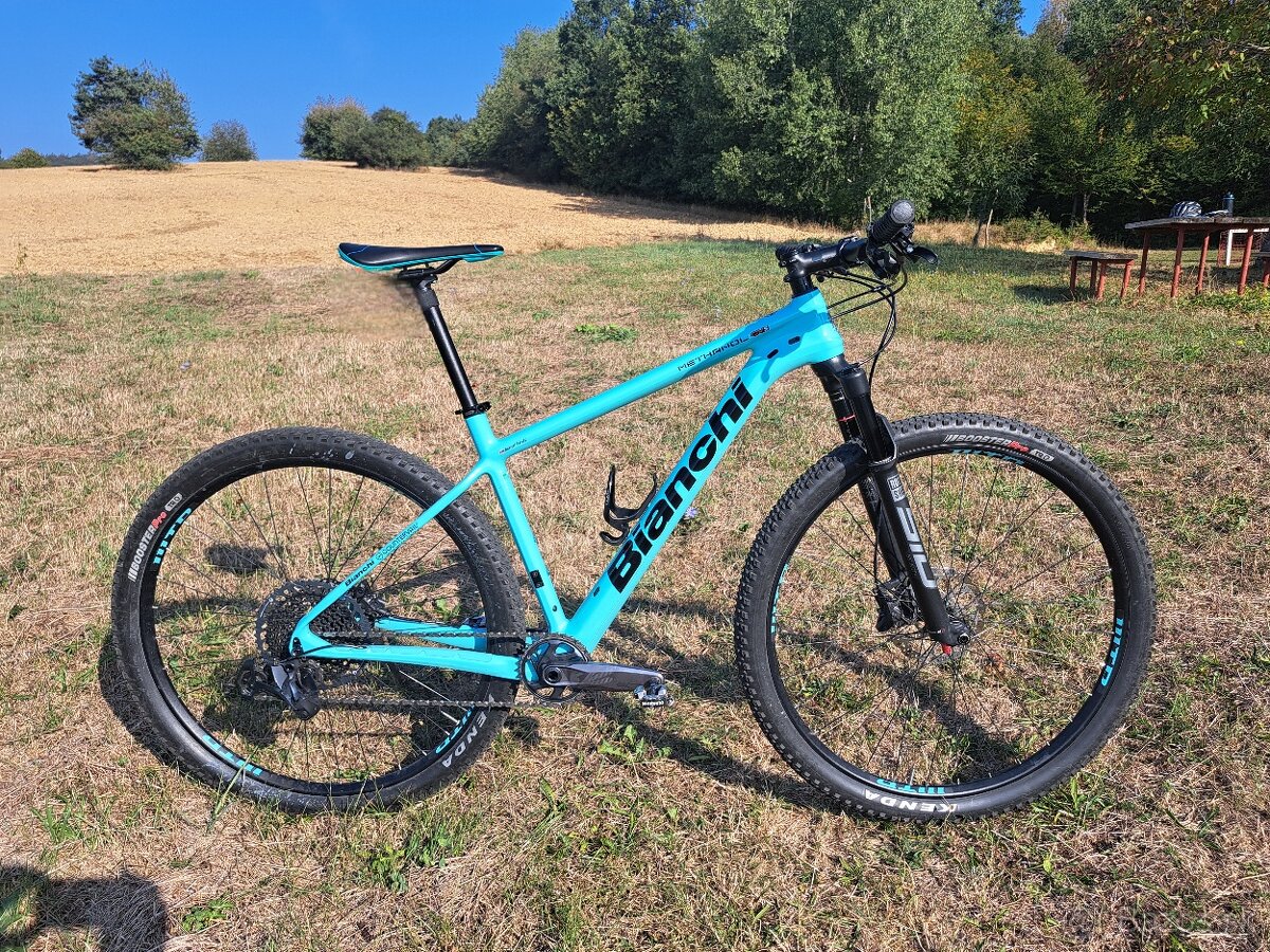 Bianchi Methanol CVS 9.1 48
