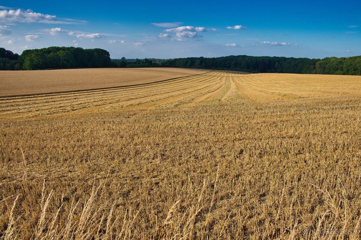 Veľké Uherce – 1.649 m2 ORNÁ PÔDA – Na predaj