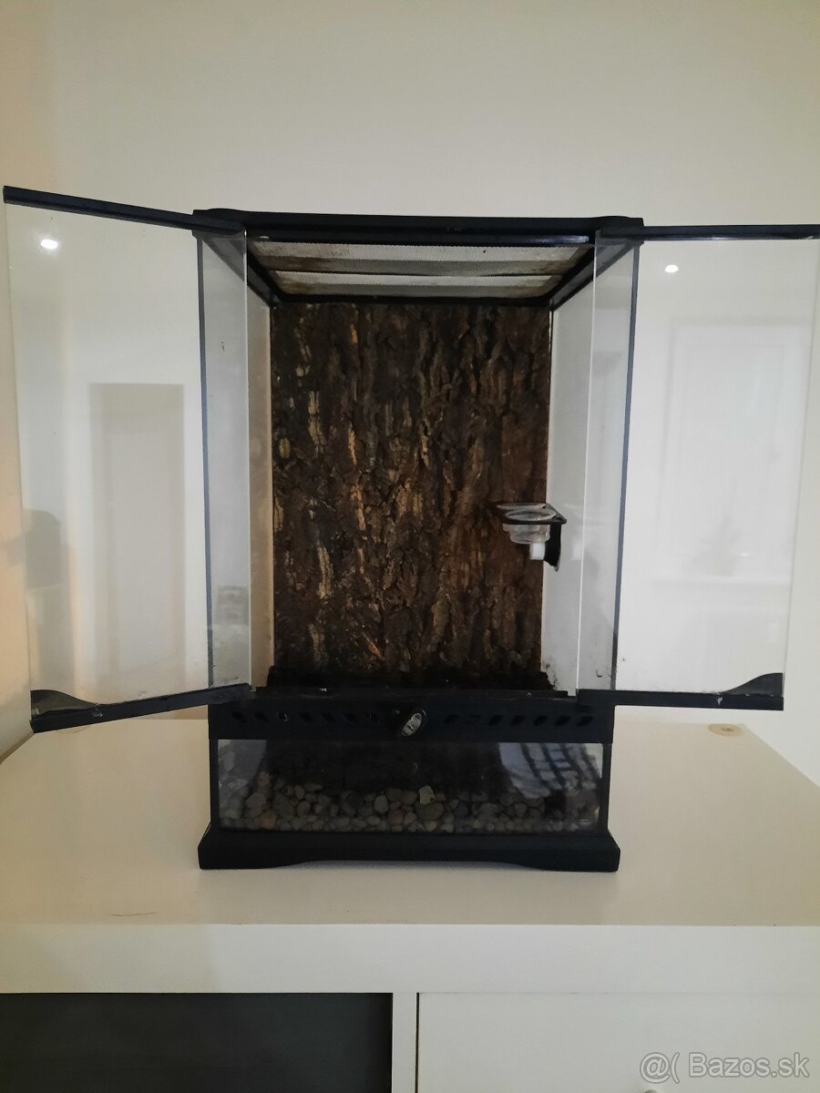 Terarium