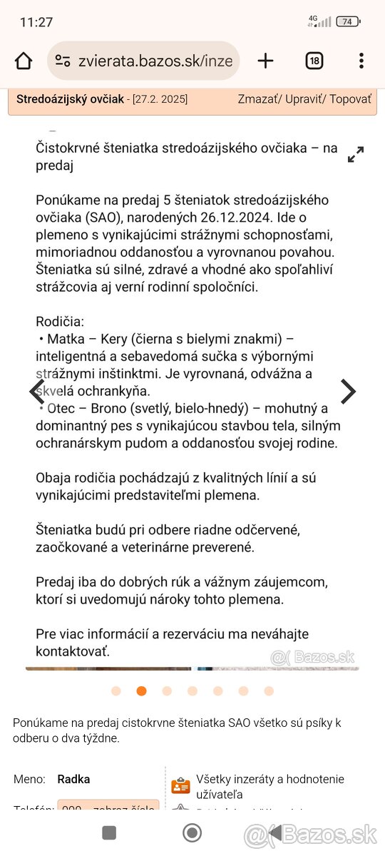 Stredo ázijský ovčiak