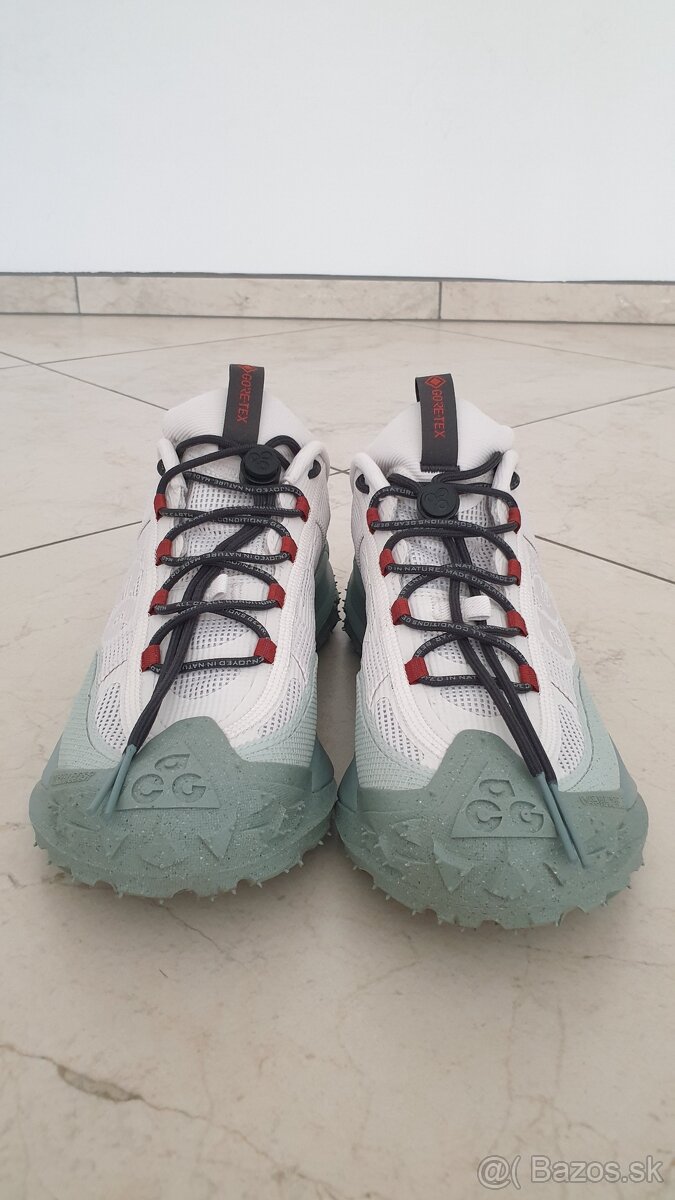 Nike ACG MOUNTIAN FLY 2 LOW GTX