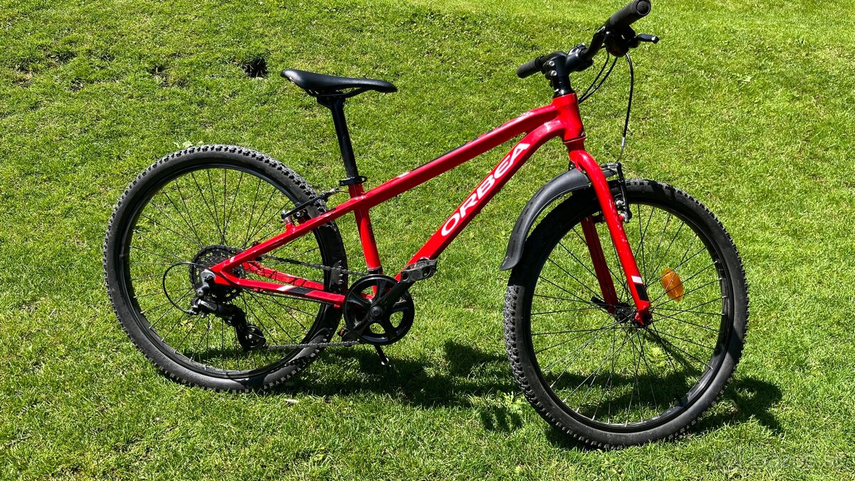 Orbea MX 24 Dirt