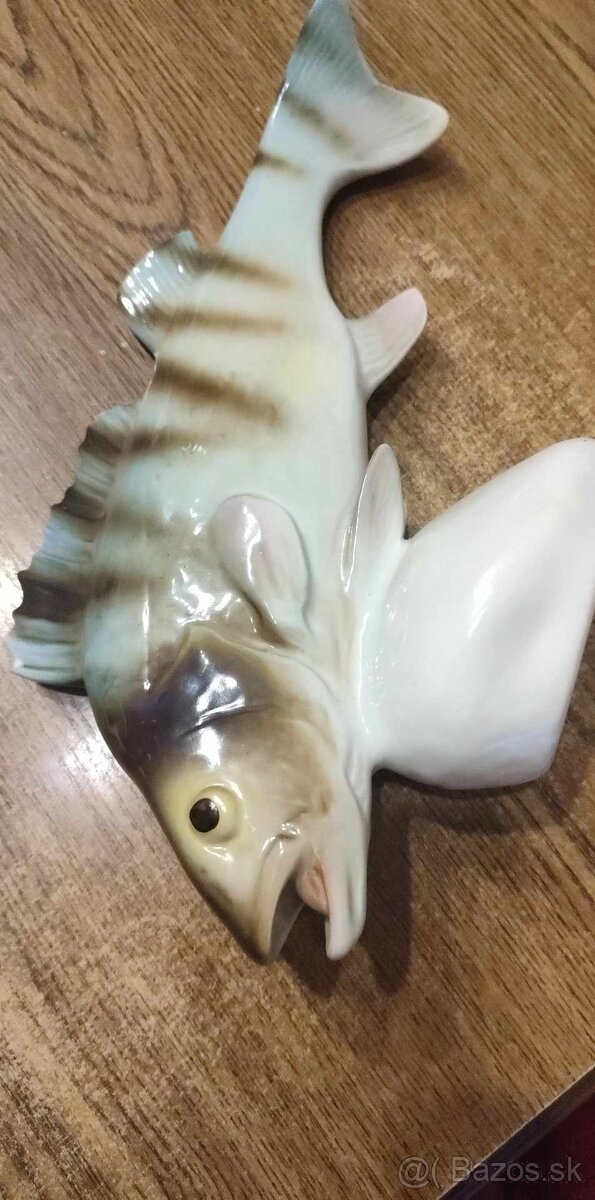 porcelanova ryba