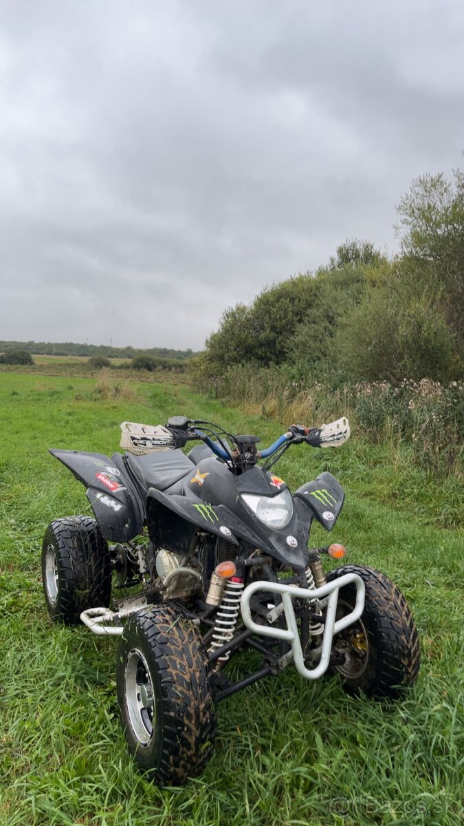 Bashan 250