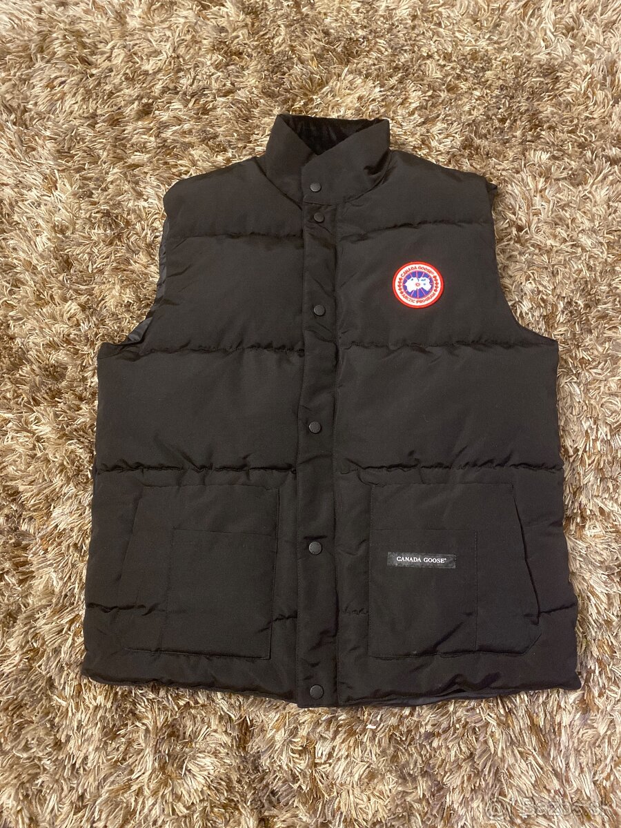 Canada goose west