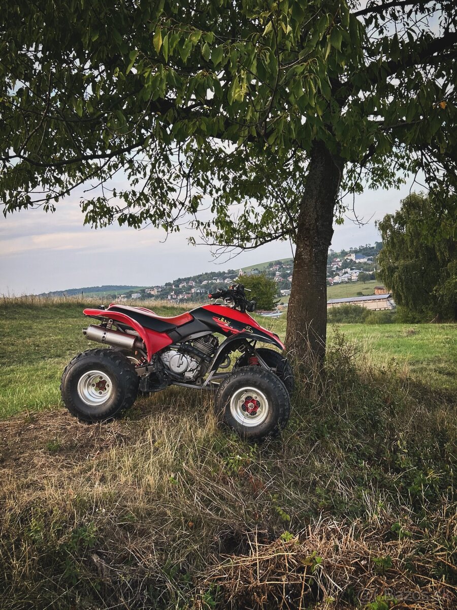 Honda TRX300ex