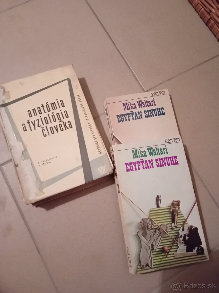 Anatomia a fyziologia cloveka