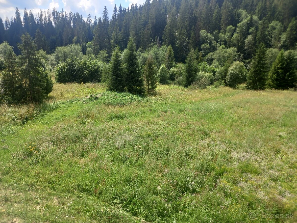 Predám pozemok Oravská Jasenica
