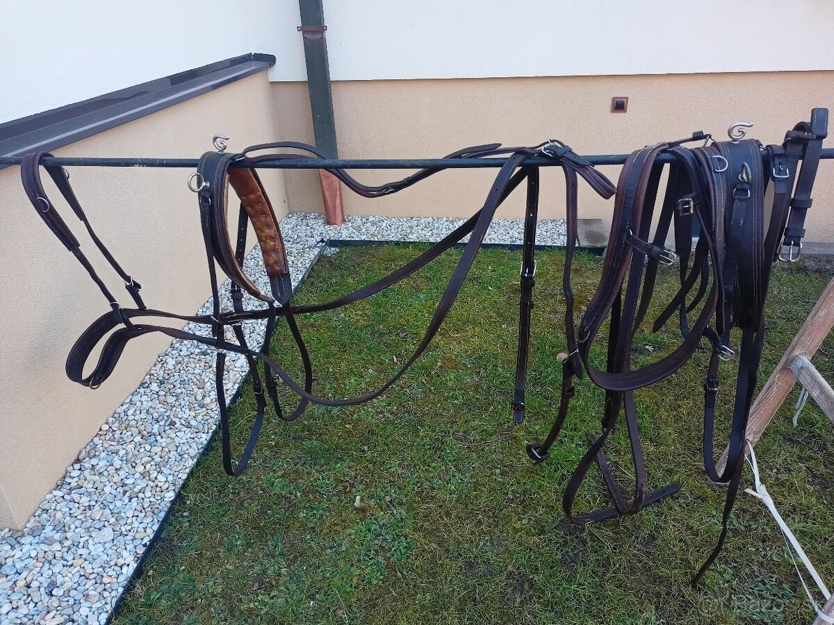 Hnedé kožené poprsne postroje na dva kone