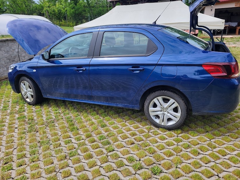 Peugeot 301
