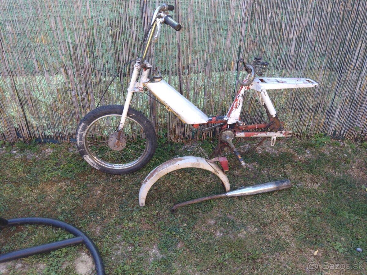 BABETTA 207