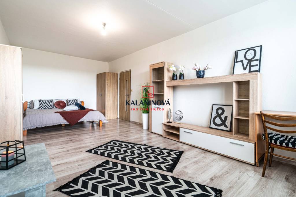 Košice - Staré Mesto, veľký 1-izbový byt 49 m2, Novomeského