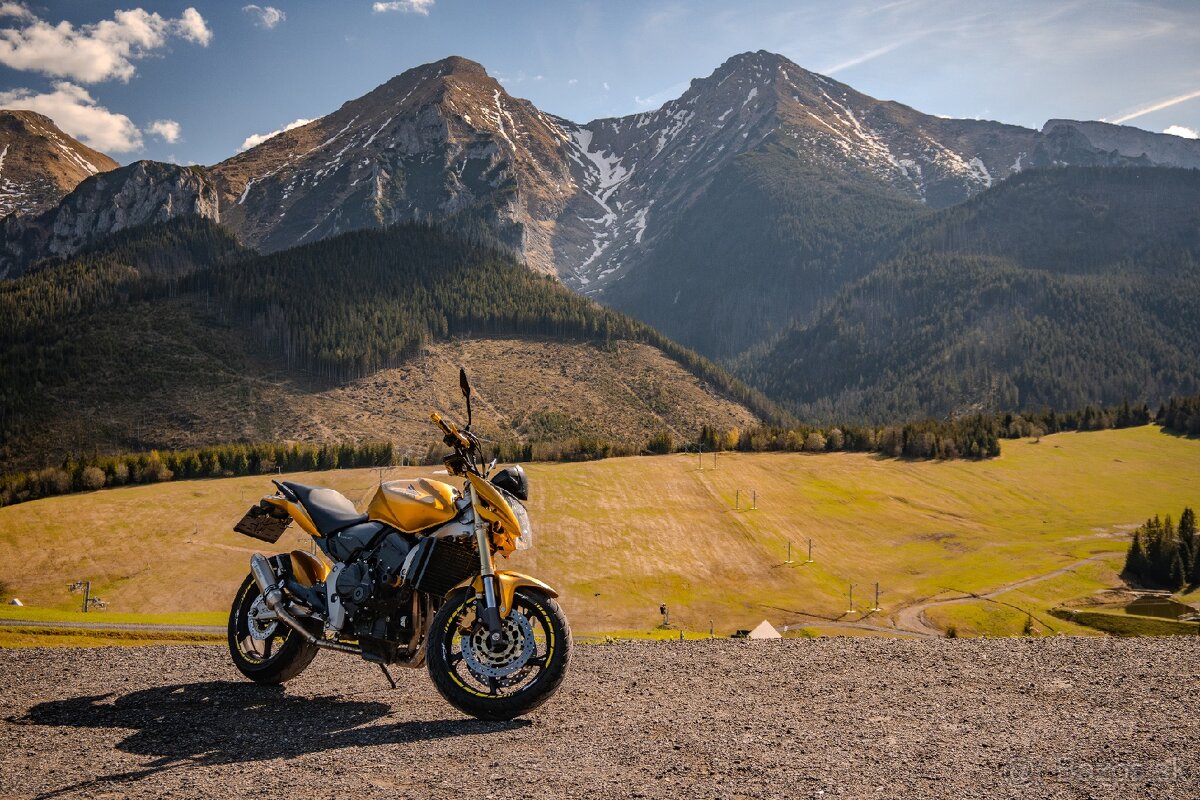 Honda CB600F Hornet 2008