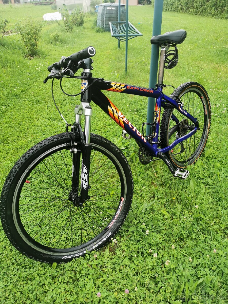 Horský bicykel vector