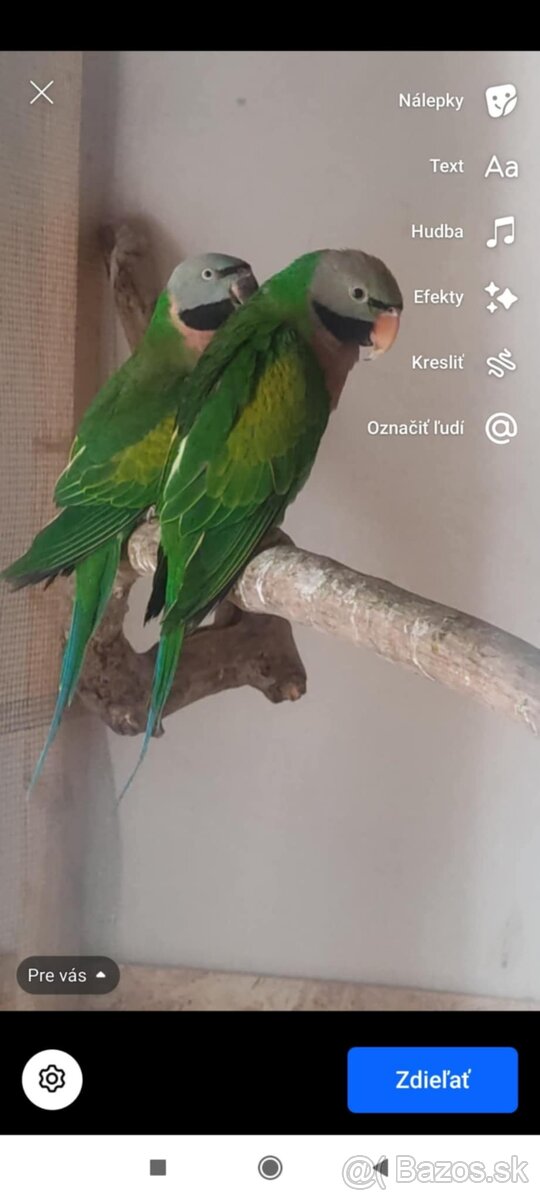 Predam