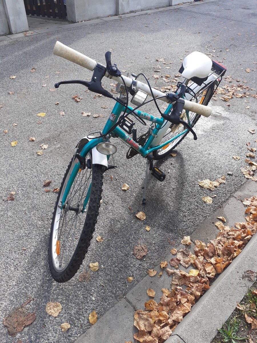 Dámsky bicykel carraro 440