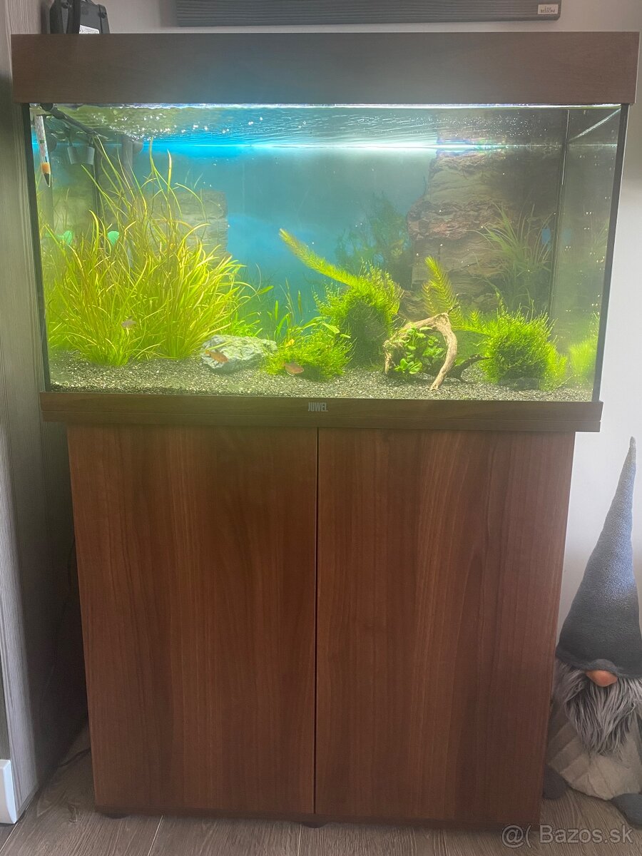Juwel Rio 125