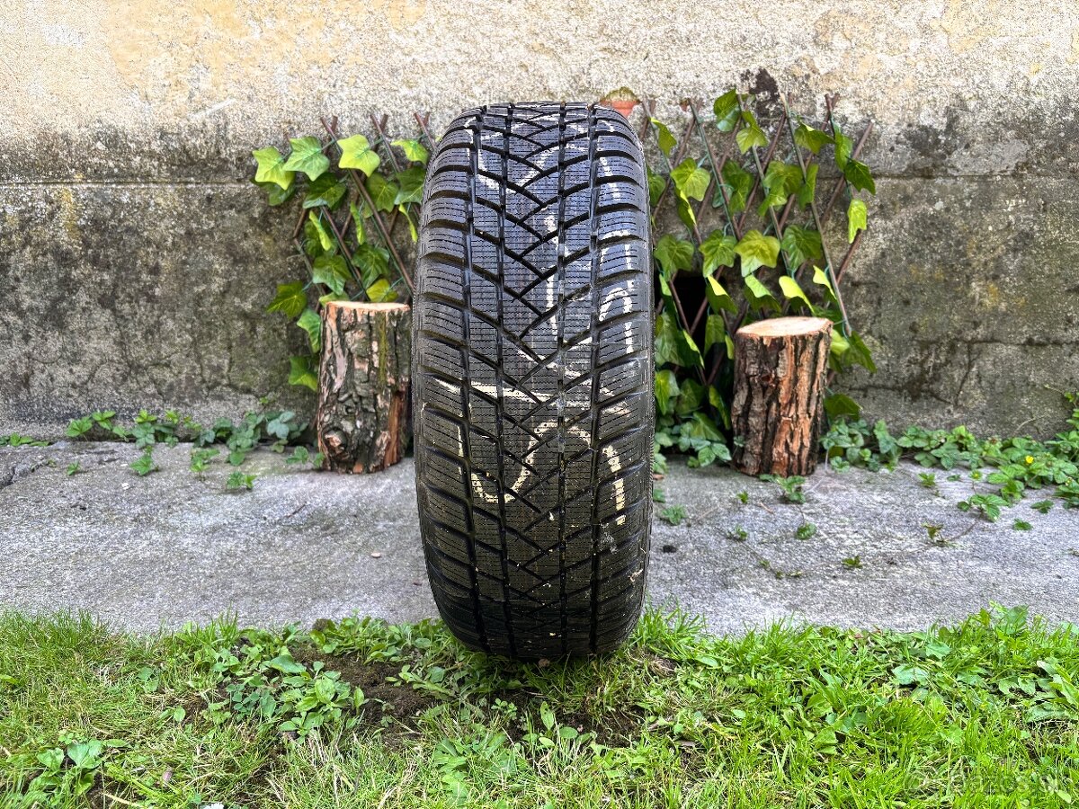 GT Radial Winter pro2