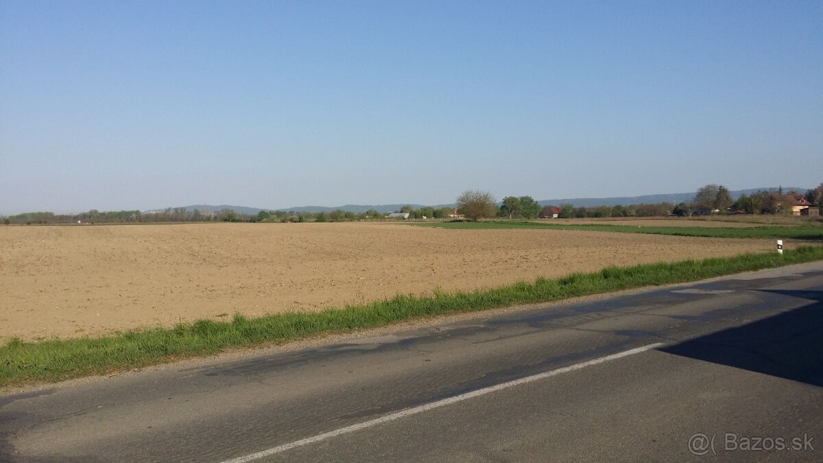 predám ornú pôdu v Zálesí okr.Senec