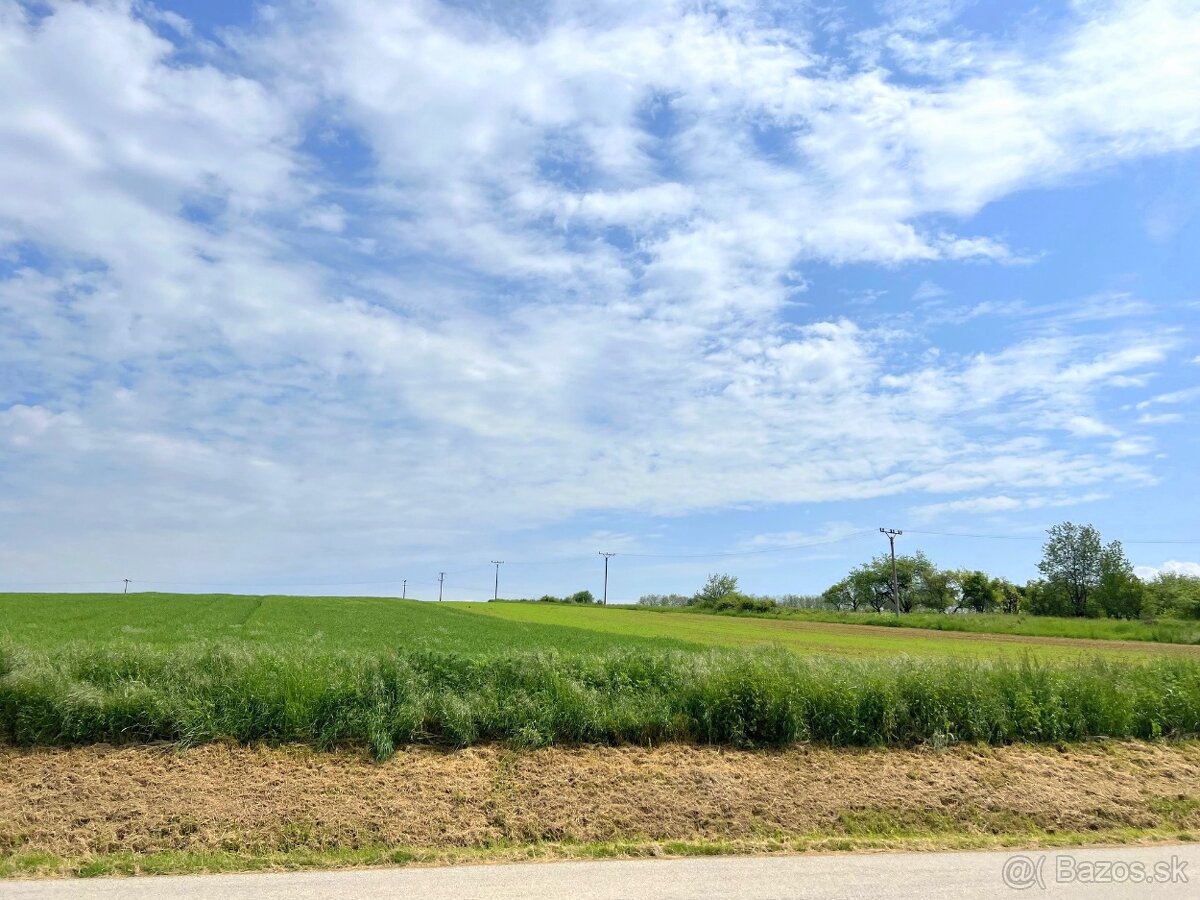 Investičná príležitosť POZEMOK 15 000 m² Malé Hoste