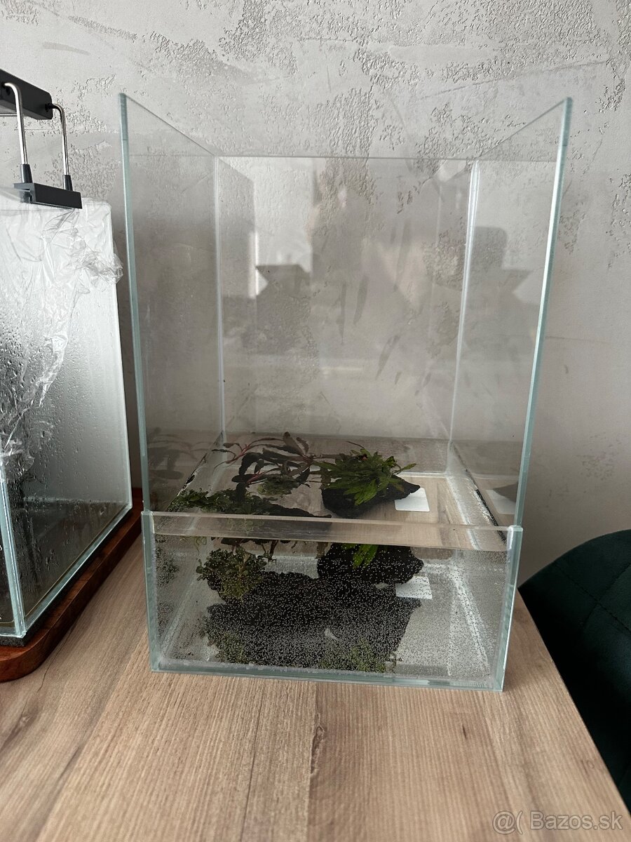 Predám nano paludarium