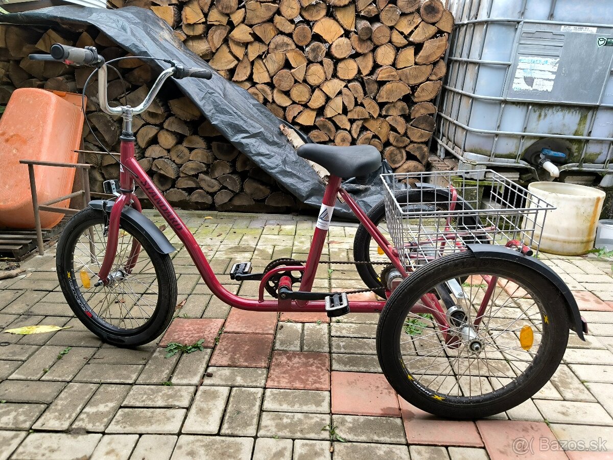 Trojkolesový bicykel