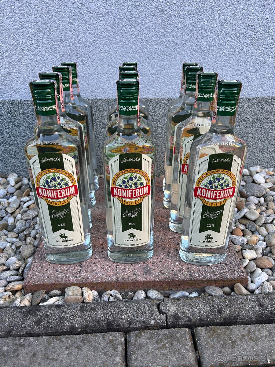 Borovička Koniferum