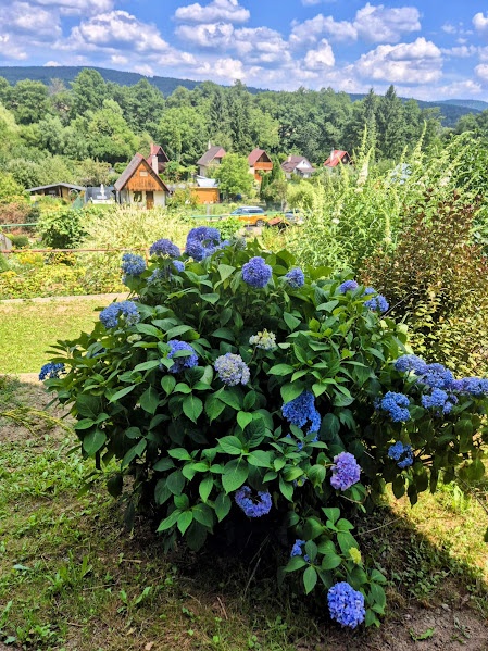 Predaj záhrady a záh.chatky vo vyhľadávanej lokalite Lutila.