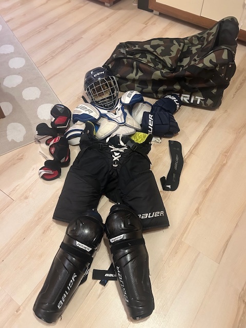 Hokejova vystroj