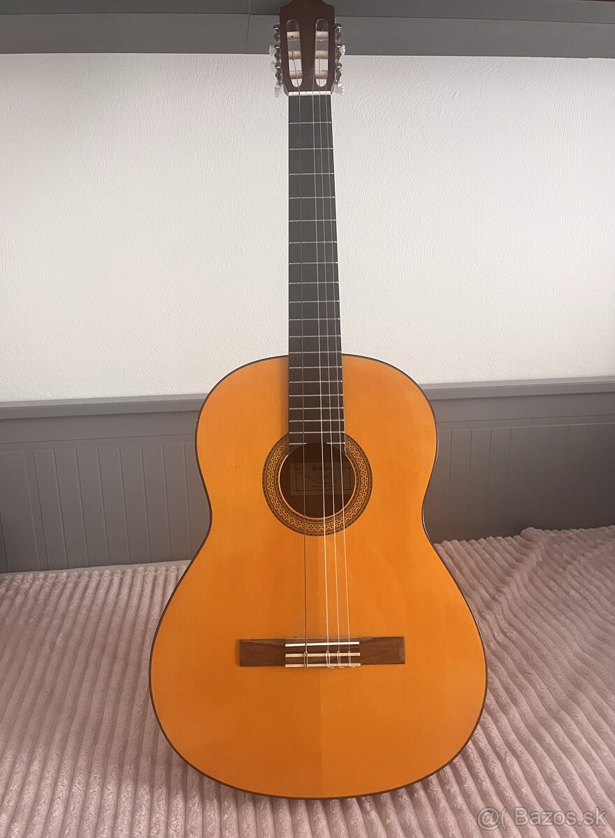 Gitara-Yamaha CG102